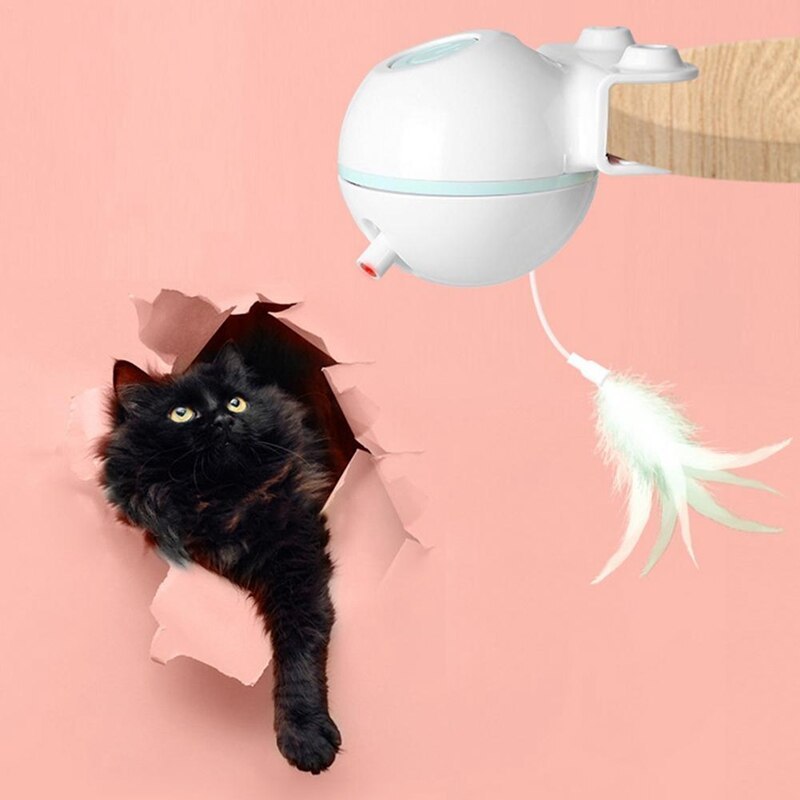 Jouet Interactif pour Chat