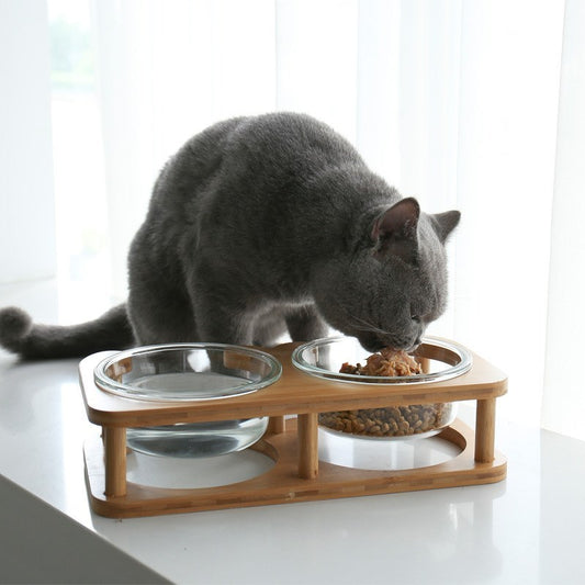 Bol en Verre pour Chats et Chiens