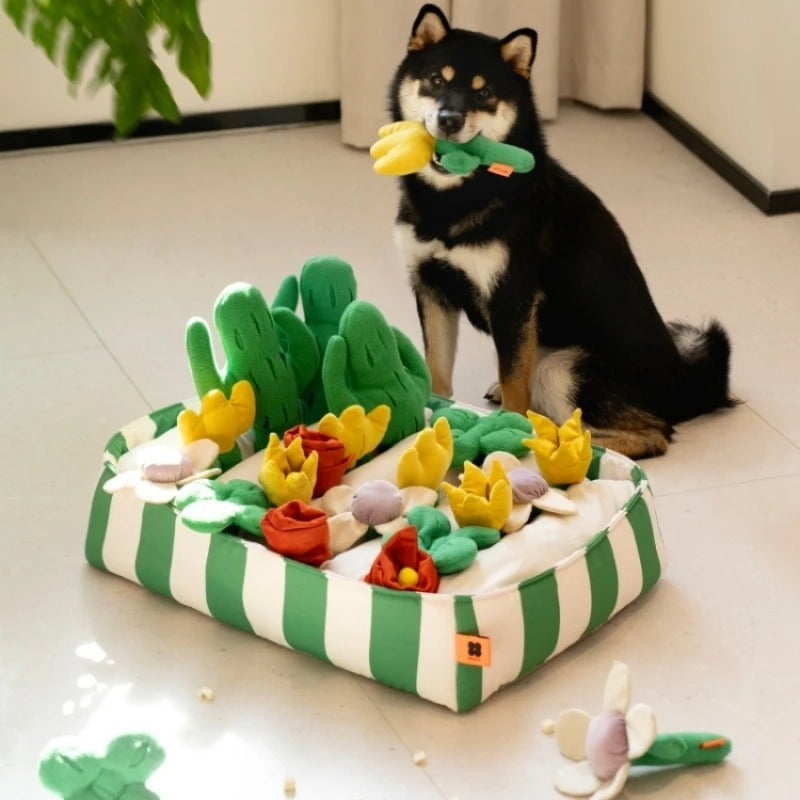 Tapis de Fouille pour Chiens | Stimulation Olfactive & Bien-Être Canin