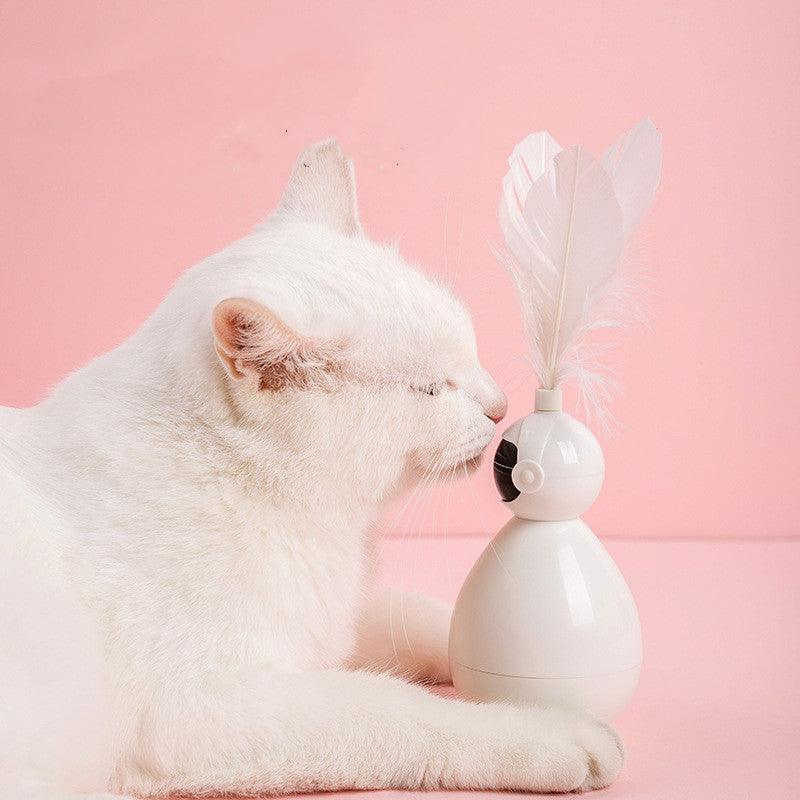 Jouets interactifs pour chats