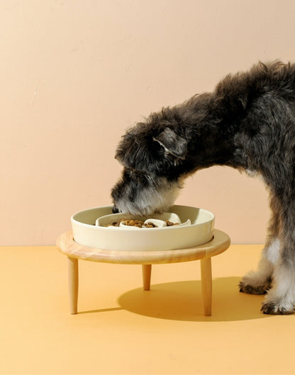 Gamelle en céramique surélevée anti-glouton pour chien