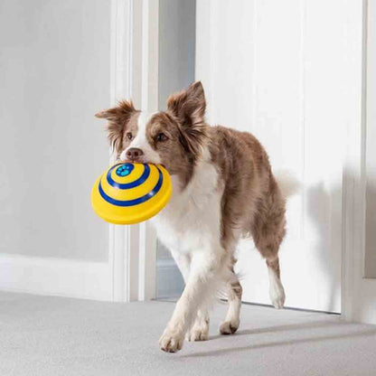 Disque Sonore pour Chien