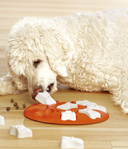 Puzzle pour Chien