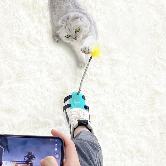 Jouet Interactif pour Chat à Plumes