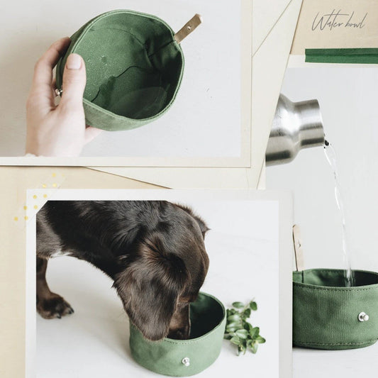 Bol de voyage Chien et Chat