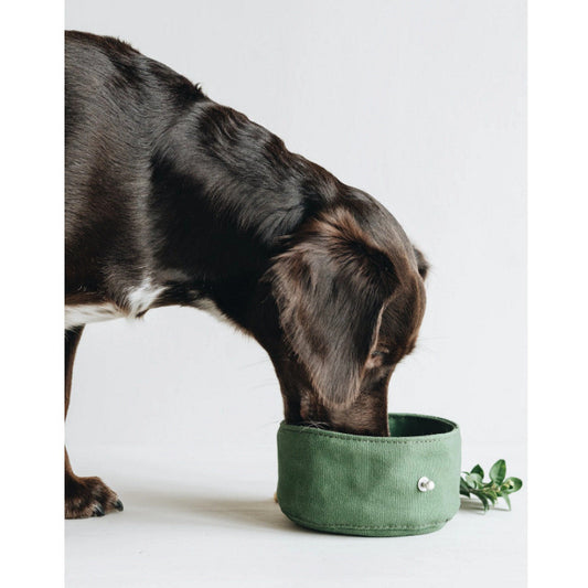 Bol de voyage Chien et Chat