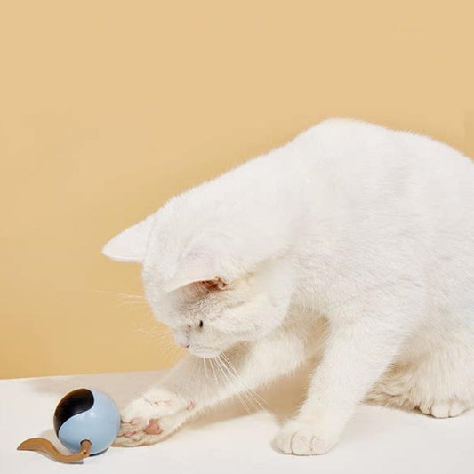 FOFOS Magic Ball – Jouet Intelligent pour Chat