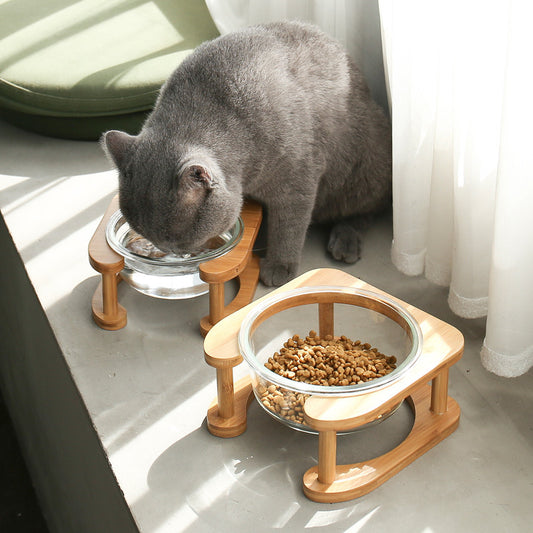 Bol en Verre pour Chats et Chiens