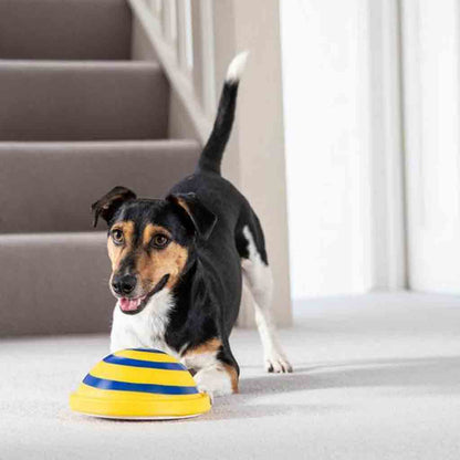 Disque Sonore pour Chien