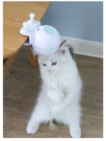 Jouet Interactif pour Chat