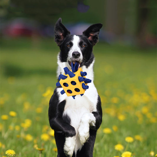 Cube Interactif pour Chien DogLemi