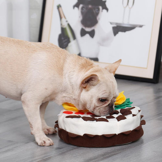 Tapis de fouille "Joyeux Anniversaire ! "