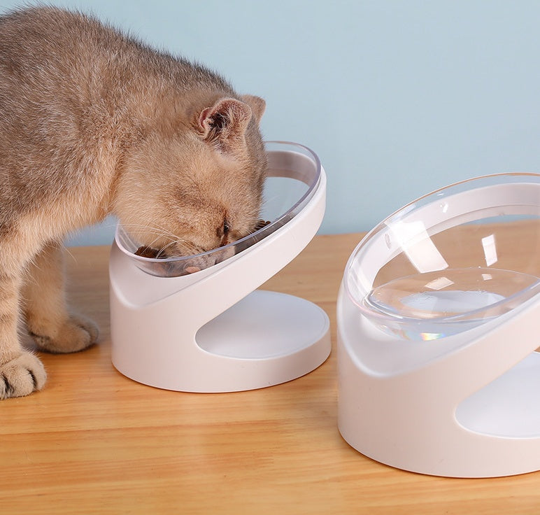 Bol incliné transparent pour chat – Anti-vomissements et ergonomique