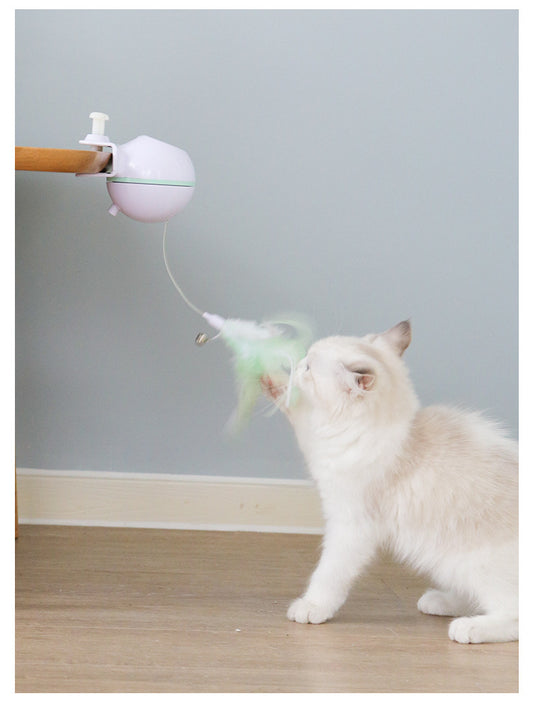 Jouet Interactif pour Chat