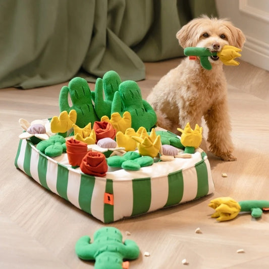 Tapis de fouille - Jardin en Fleurs