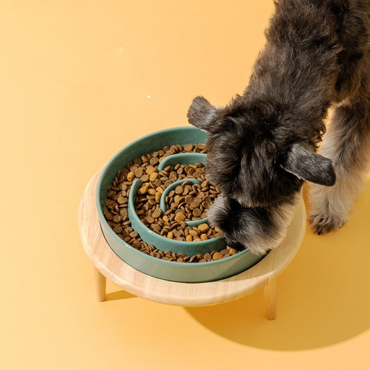Gamelle en céramique surélevée anti-glouton pour chien