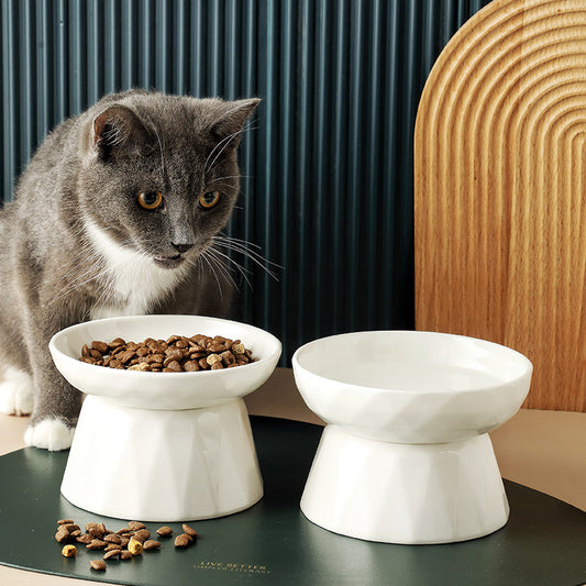 Bol surélevé en céramique pour chat – Design ergonomique