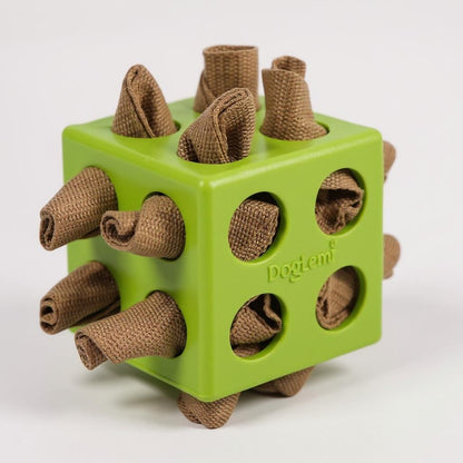 Cube Interactif pour Chien DogLemi