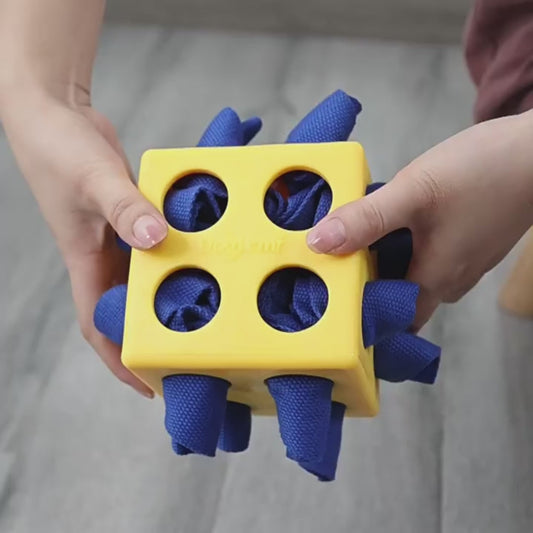 Cube Interactif pour Chien DogLemi