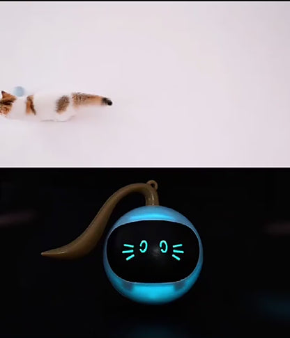 FOFOS Magic Ball – Jouet Intelligent pour Chat