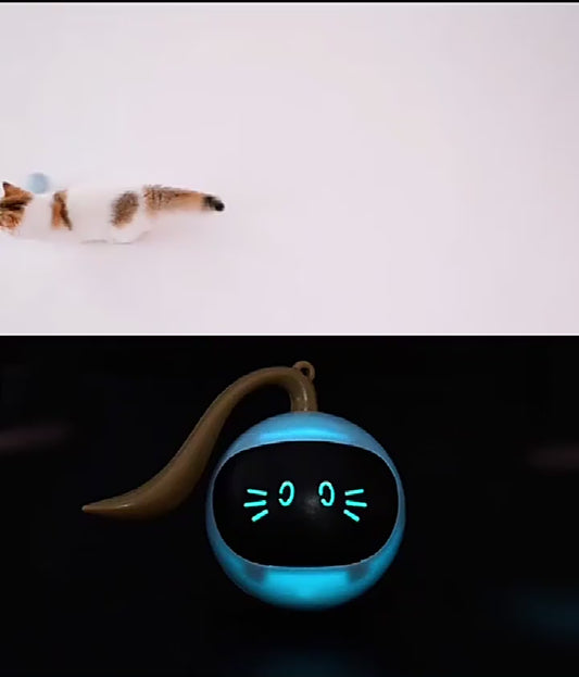 FOFOS Magic Ball – Jouet Intelligent pour Chat